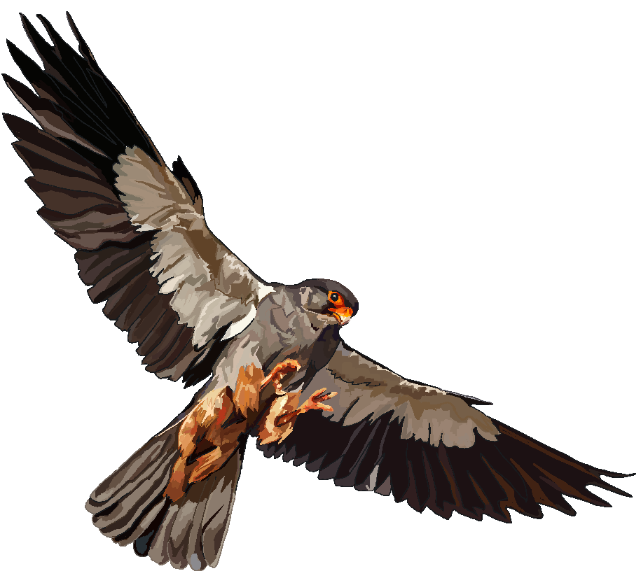 pixel art of an amur falcon