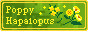Poppy Hapalopus site button.