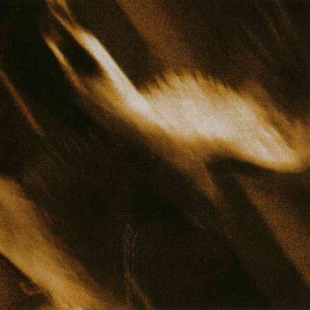 Cover for Ashes Against the Grain by Agalloch.