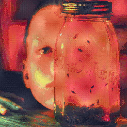 Jar of Flies by Alice in Chains.