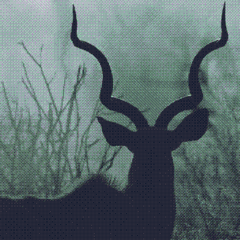 A kudu silhouetted against the savannah.