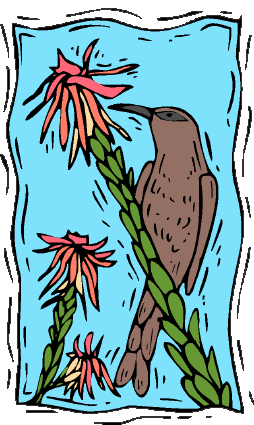 Clip art of an african bird.