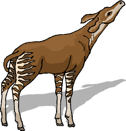 Clip art of an okapi.
