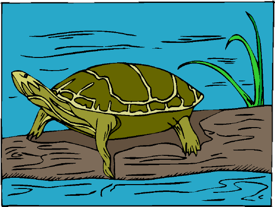 Clip art of a turtle on a log.