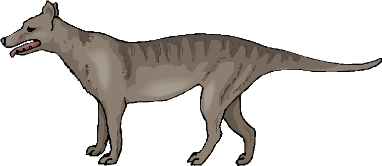 Clip art of a thylacine.