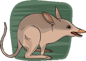 Clip art of a bilby.