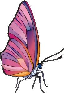 Clip art of a butterfly.