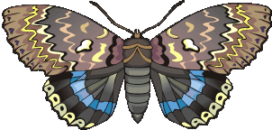 Clip art of a butterfly.