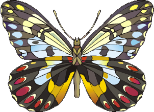 Clip art of a butterfly.