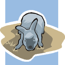 Clip art of a grey bunny.