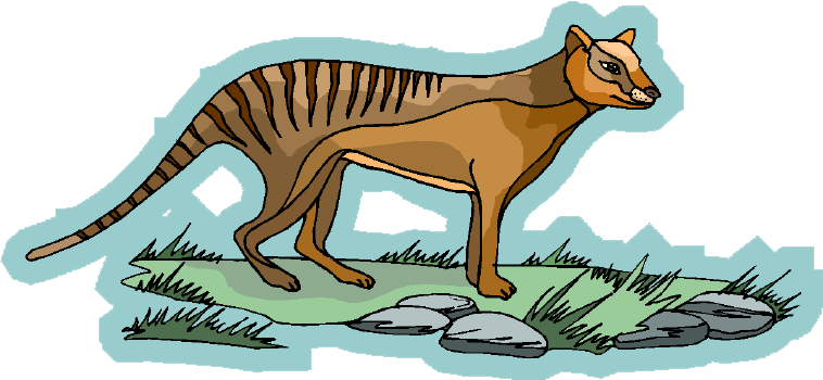 Clip art of a thylacine.
