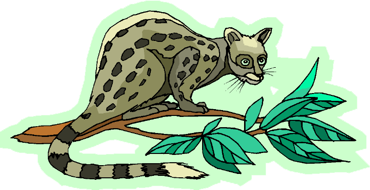 Clip art of a viverrid.
