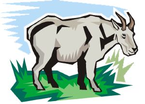 Clip art of a mountain goat.