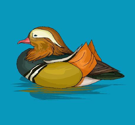 Clip art of a male mandarin duck.