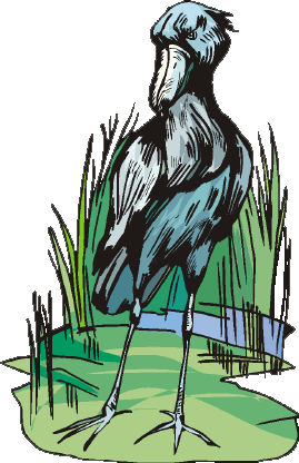 Clip art of a shoebill.