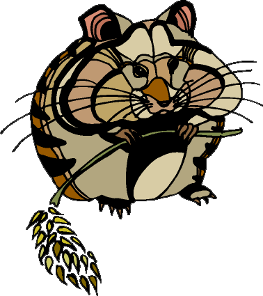 Clip art of a hamster eating grain.