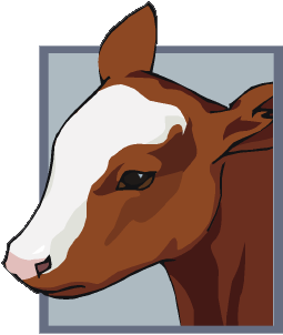 Clip art of a calf.